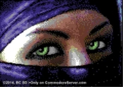 No, I'm no Muslima but a NINJA